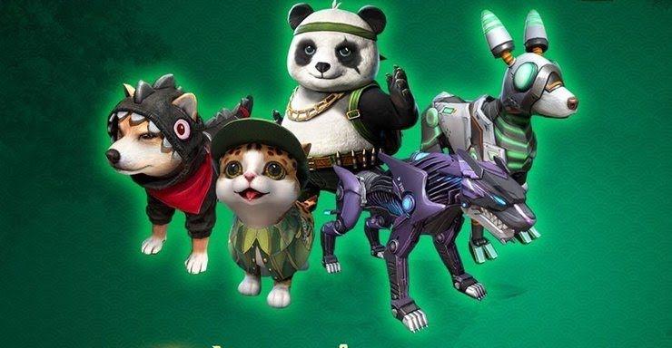 Which pet are you in Free Fire?